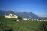 Vineyards Aigle